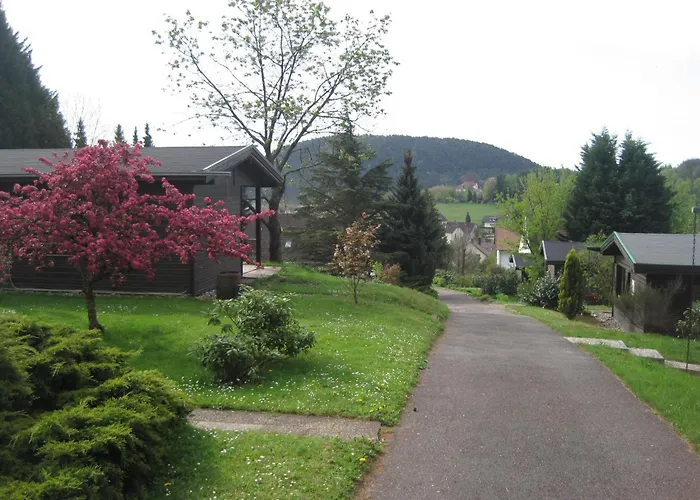 Auf Dem Berg * Gossersweiler-Stein